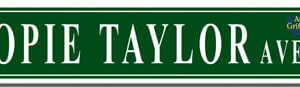 Street Sign - Opie Taylor Ave.-0