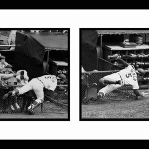 Johnny Greatest Catch Series