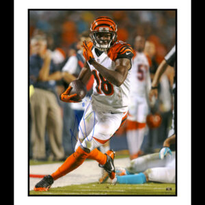 AJ Green - Bengals Signed 16x20 Photograph