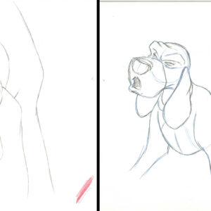 Copper - 2 Original Production Drawings from the Walt Disney 1981 Movie "The Fox and the Hound"